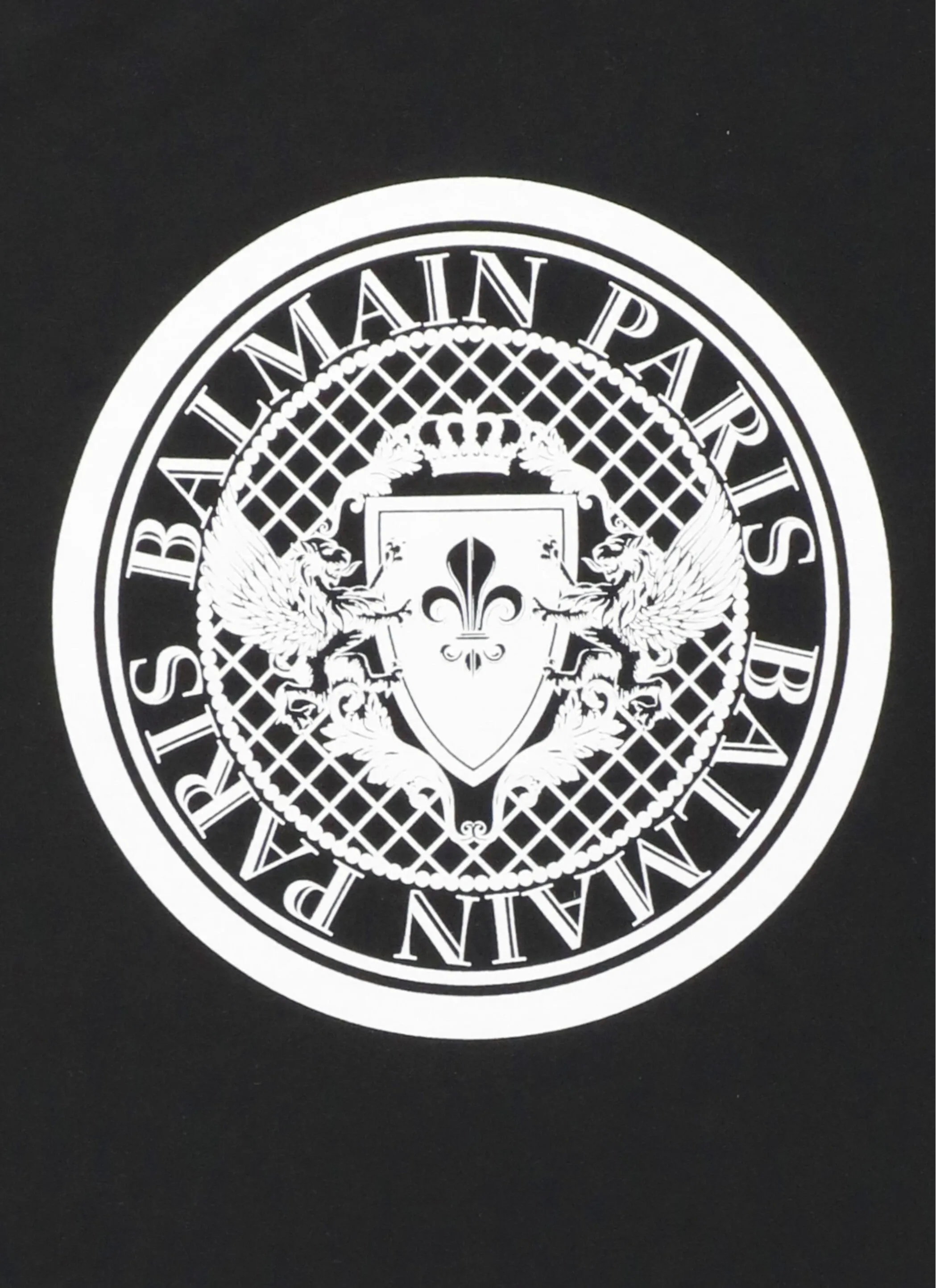 Balmain Kids Logo Printed Crewneck T-Shirt