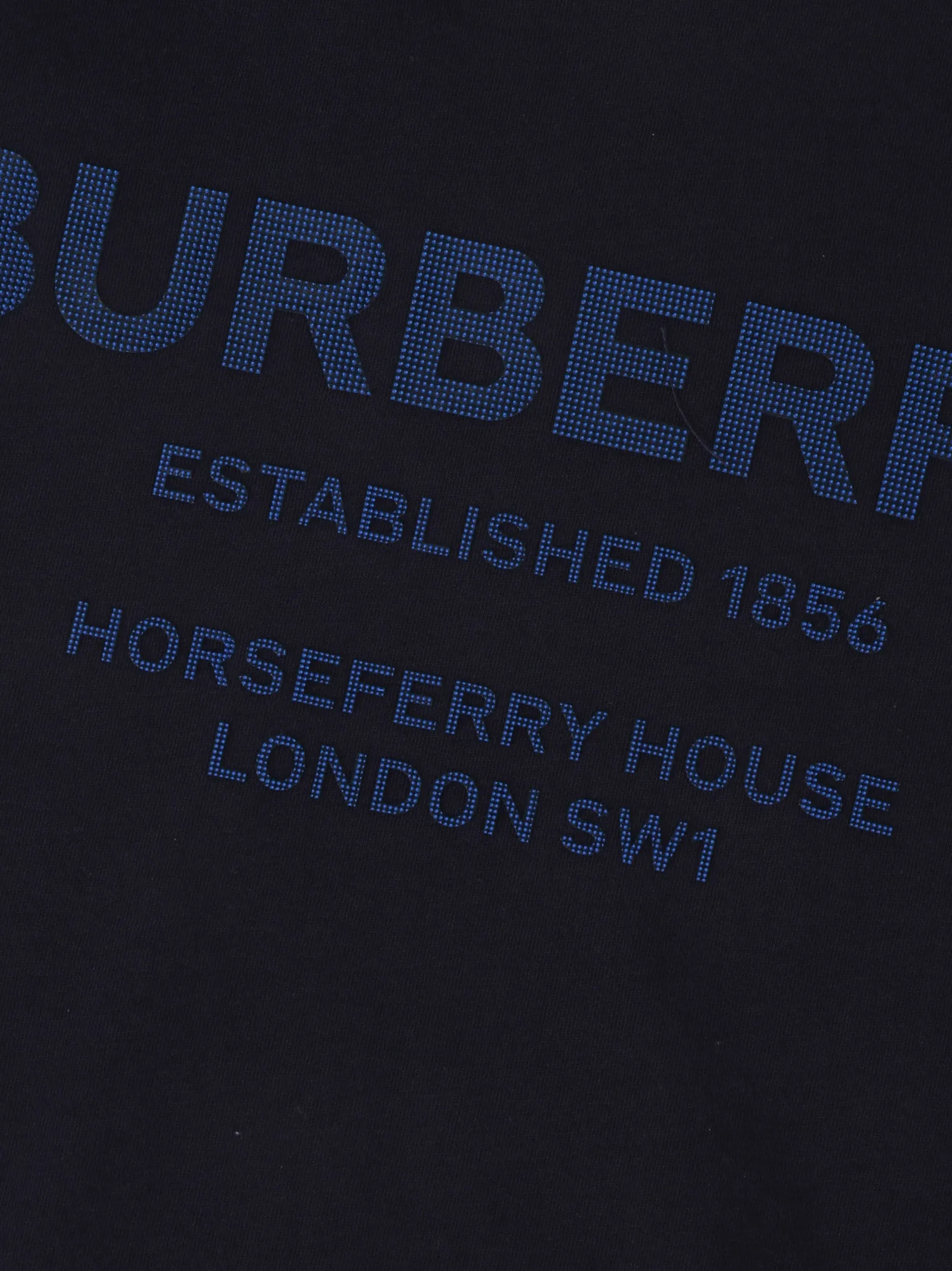 Burberry Kids Logo Printed Crewneck T-Shirt