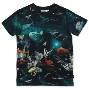 Molo Graphic Print T-Shirt