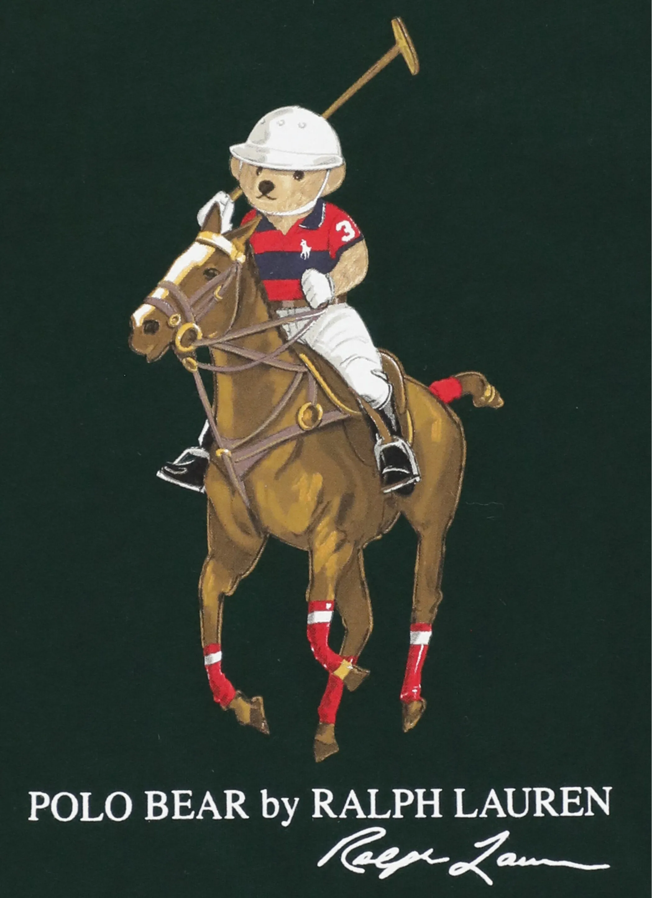 Ralph Lauren Kids Pony Print Crewneck Sweatshirt