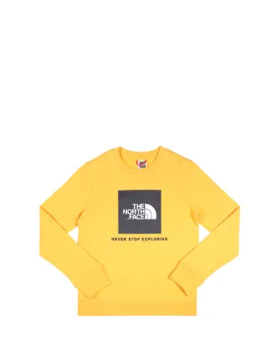 The North Face Kids Logo Print Crewneck Sweatshirt