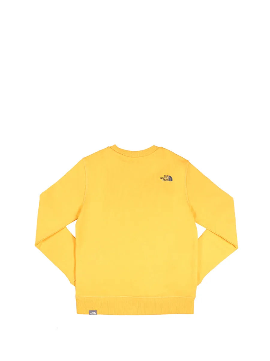 The North Face Kids Logo Print Crewneck Sweatshirt